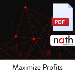Maximize Profits PDF