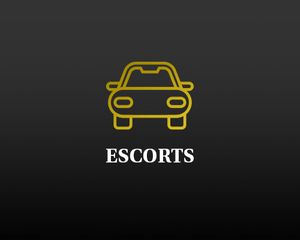 car Escorts icon