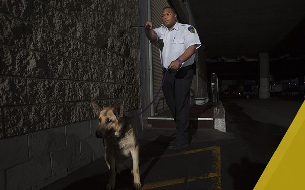 security guard with large German Shepherd on a leash