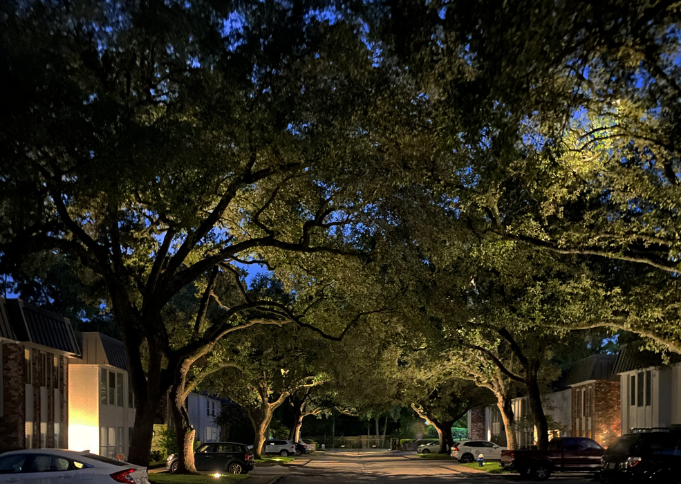 Low-voltage tree uplighting and walkway illumination by Stirling Electric & Irrigation in West University Place Tree and pathway lighting at West University Place home