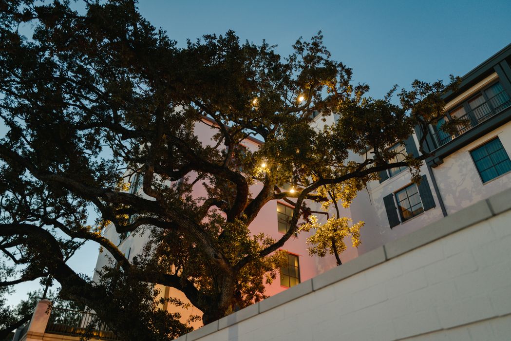Live Oak Moonlighting Installation at Hotel Daphne Houston by Stirling Electric & Irrigation