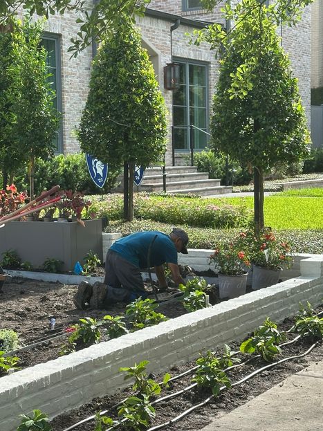 Targeted drip irrigation keeps garden beds lush and water-smart in this West U property near Auden Street. Designed to save water and preserve landscape health. Drip irrigation system in West U garden bed