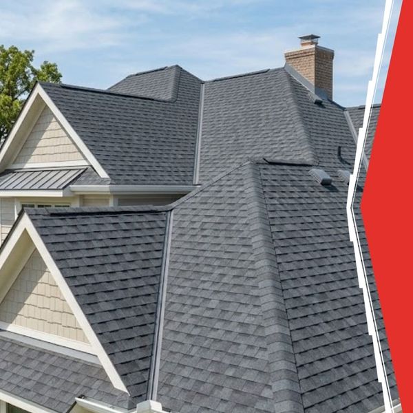 Close-up of shingles on roof 