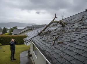 Man Surveying Storm Damage with Binoculars