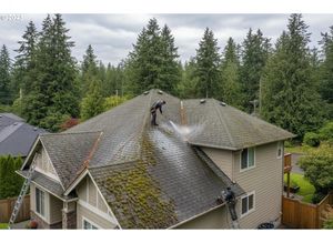 Professional Roof Cleaning Service