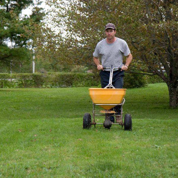 image1 - How To Prepare Your Lawn for Spring.jpg