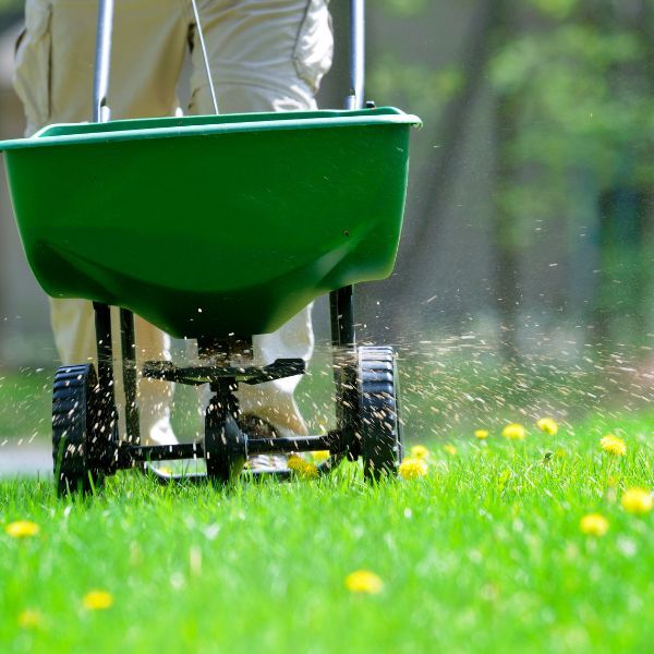 image1 - 4 Things You Never Knew About Lawn Fertilization.jpg