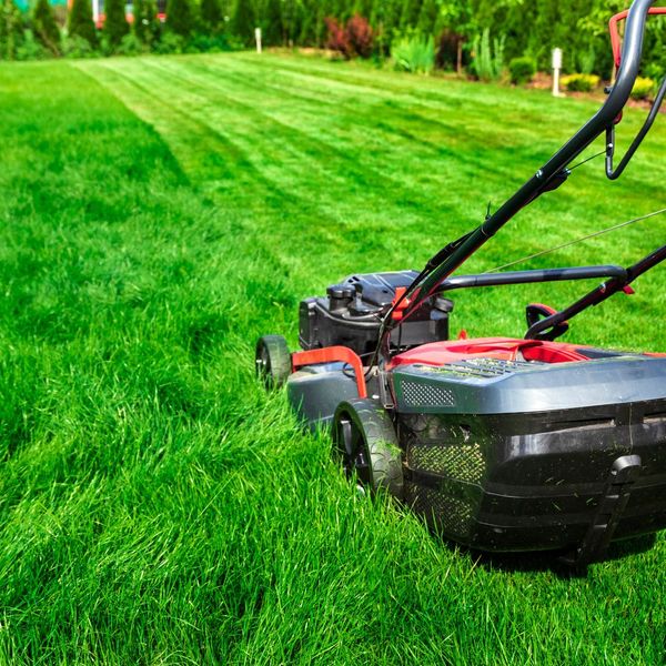 lawnmower in tall grass