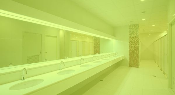 commercial bathroom with green color overlay