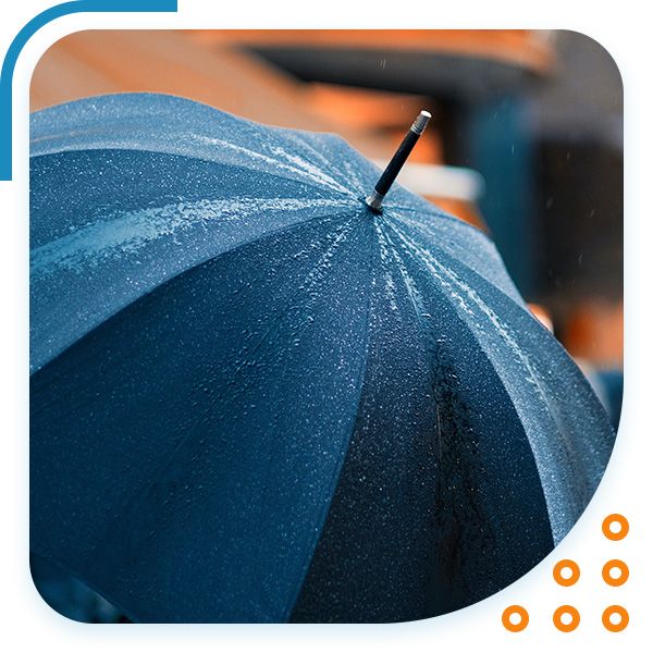 Umbrella Img 1.jpg