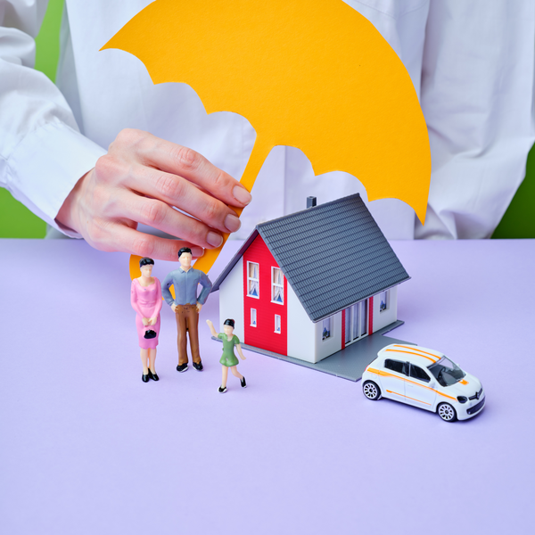 model family under umbrella