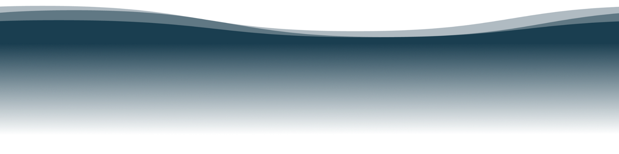 Website Assets (1).png