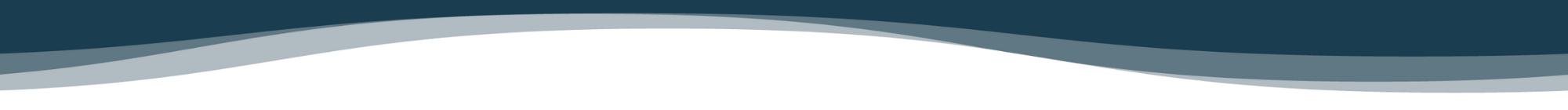 Website Assets (5).png