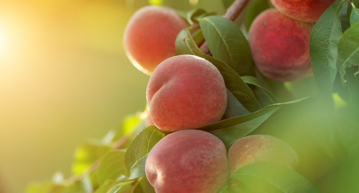 successtories (1).jpg