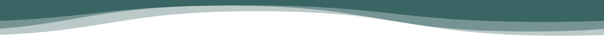 Website Assets (4).png