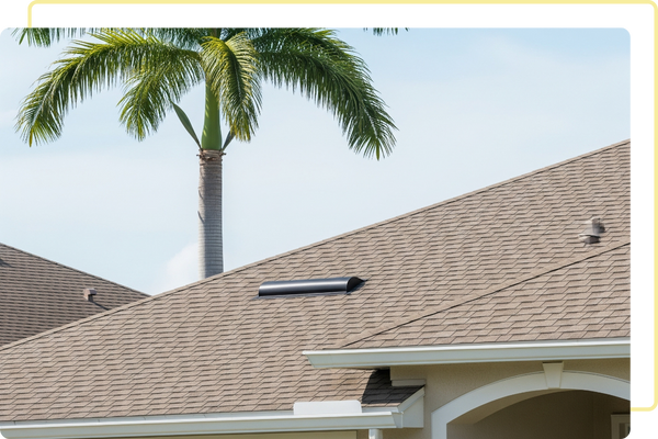 Close-up of a residential roof with light brown shingles and a black roof vent, with a tall palm tree and blue sky in the background.