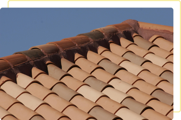 Winter garden Full Home Inspection1.png