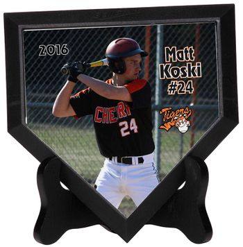 baseballgalpic4-595eb2da5327b.jpg