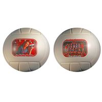 Make-A-Ball™  The Best Photo Sports volleyballs for High School Team  Seniors Awards Banquet Night: Customized and Personalized