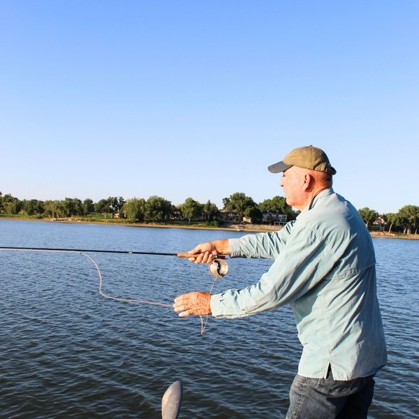 The Art of Collecting 1.jpg