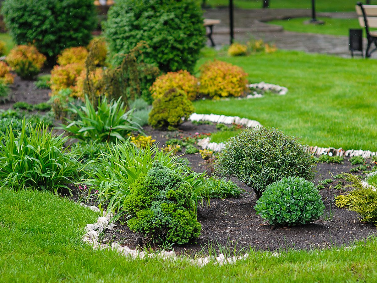Softscaping with plants and shrubs. 