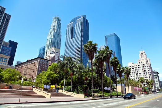 office buildings with palm trees in front