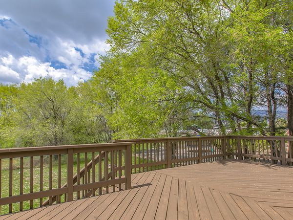 Wooden deck with cloudy skies and green trees. 