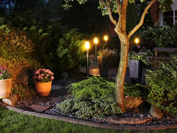  Beautiful backyard with garden lights illuminating the trees, shrubs, and patio.