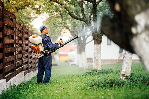 Image of a man spraying a yard for mosquitos
