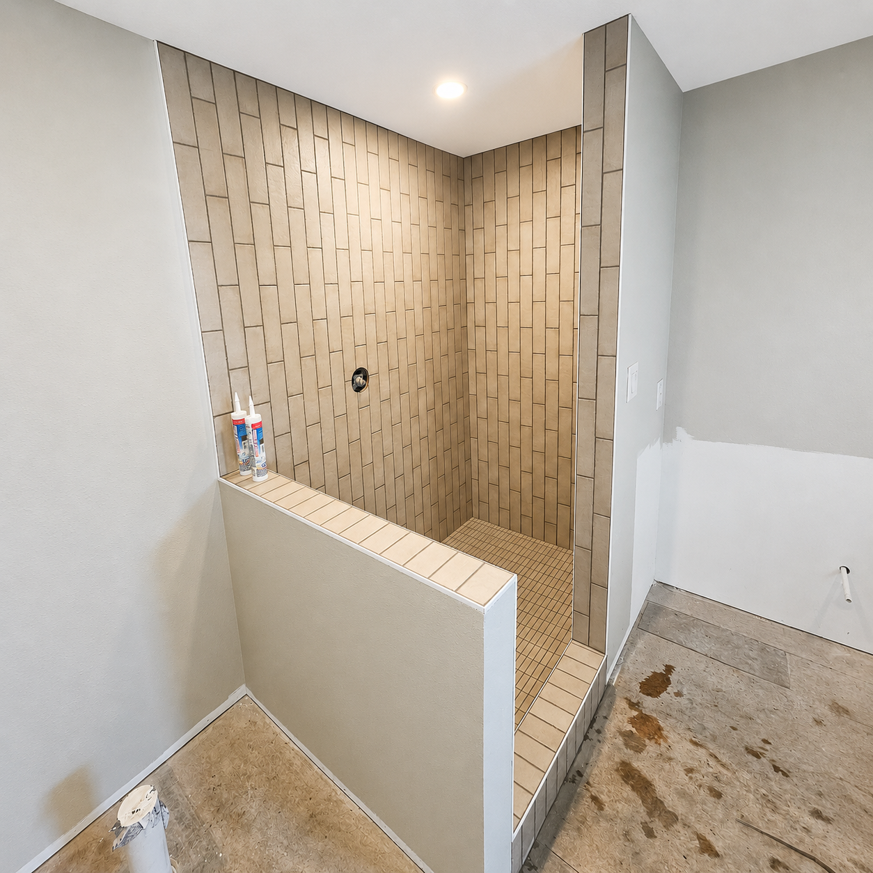 Walk-In Shower