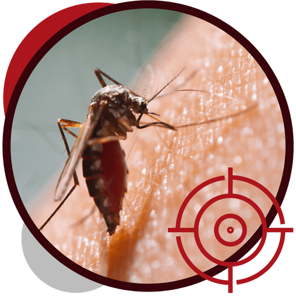 Why Choose Advanced Mosquito Control Solutions_Image.png