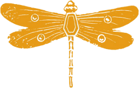 Orange dragonfly logo illustration