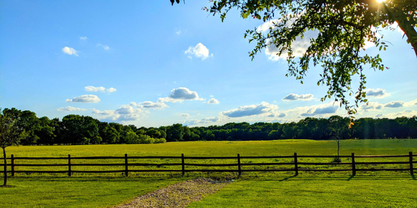 Texas fence laws.jpg