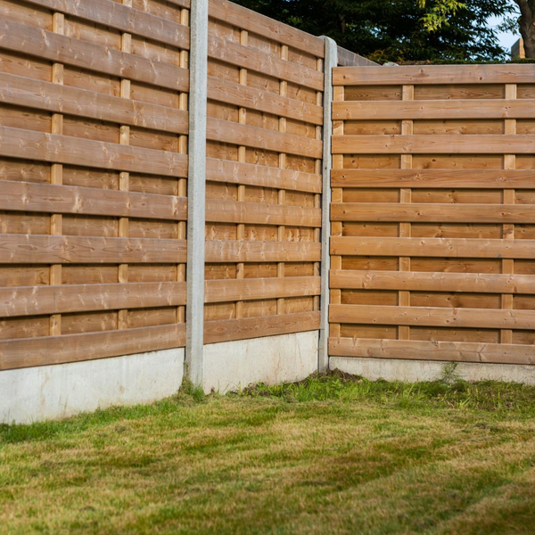 exas Fence Laws 3.jpg
