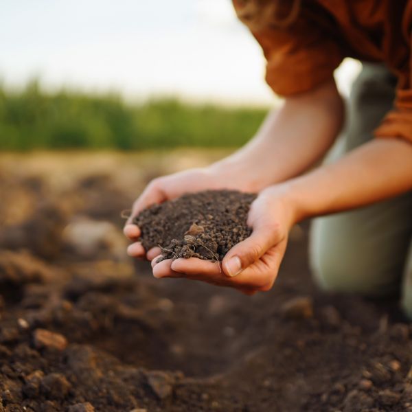 soil soil