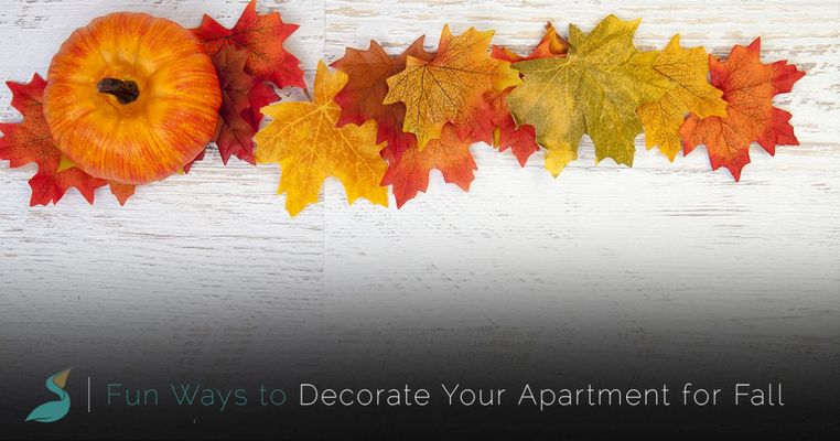 fun ways to decorate your apartment for fall