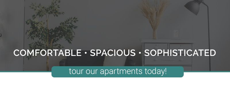 Tour our apartments today