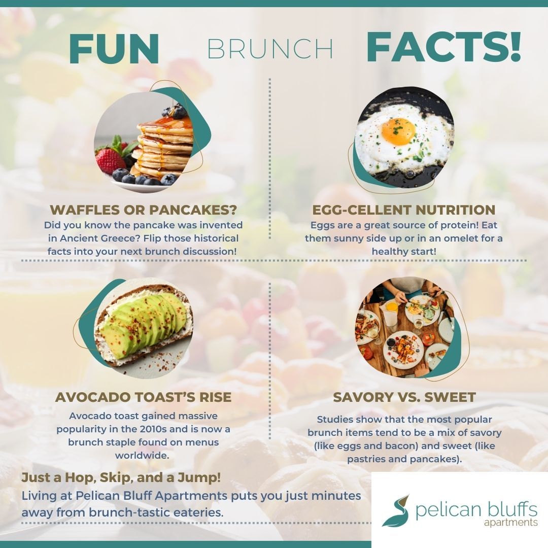 M14872 - Infographic - September 2024 - Windsor Brunch Spots.jpg