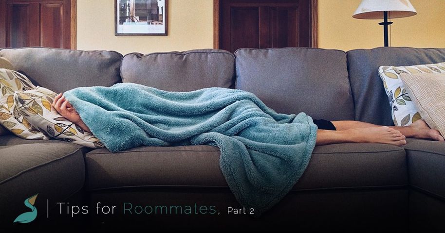 tips for roommates