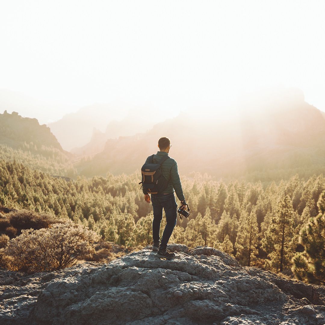 A man standing on a rock overlooking a pine forest high in the mountains