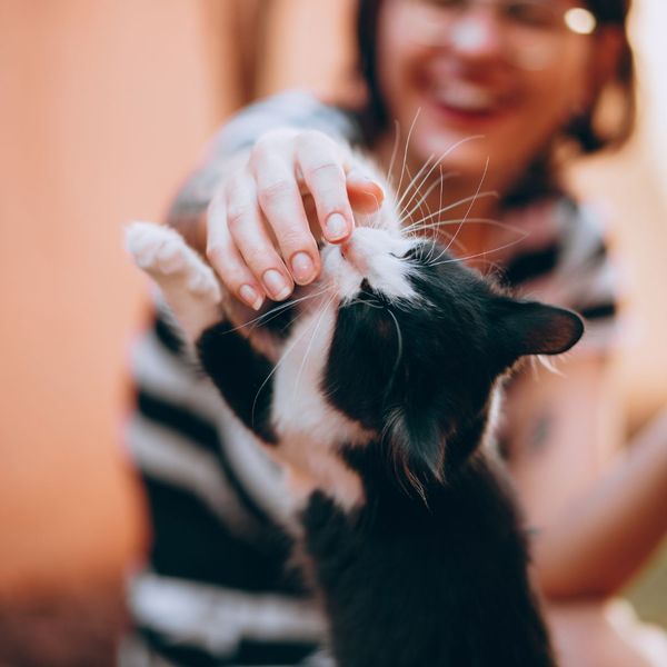 cat and its owner cat and its owner