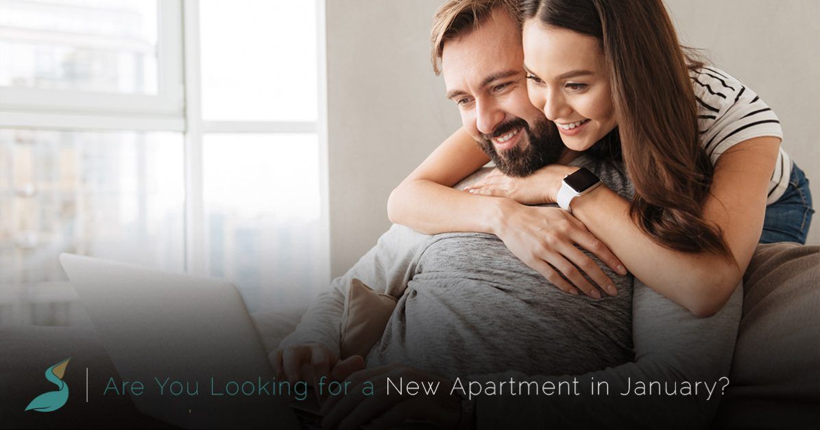 are you looking for a new apartment in january?