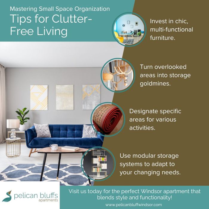 Infographic that lists tips for small space living organization