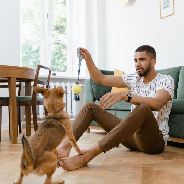 man playing with his dog