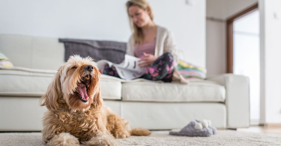 woman and her dog