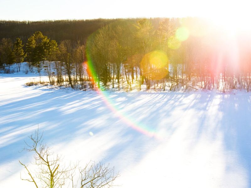 image of sunshine in the winter