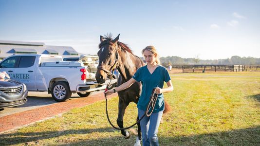 Respiratory distress in horses is never normal 1.jpg