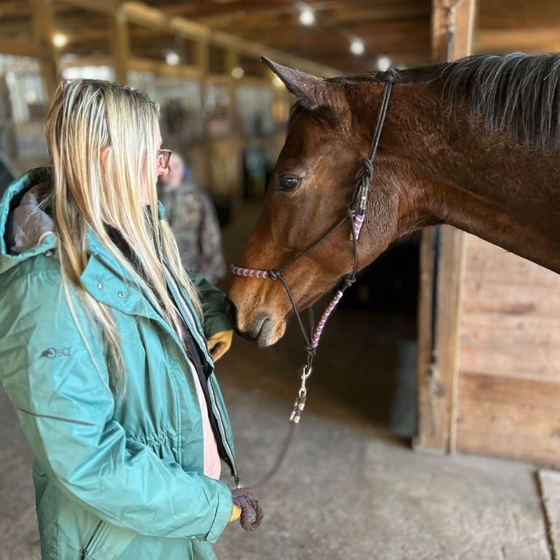 Essential Cold Weather Equine Care1 (2).jpg