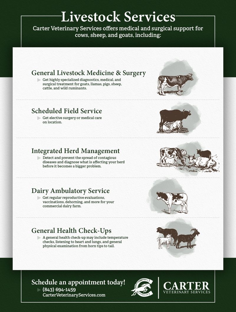 Livestock Services Infographic.jpg