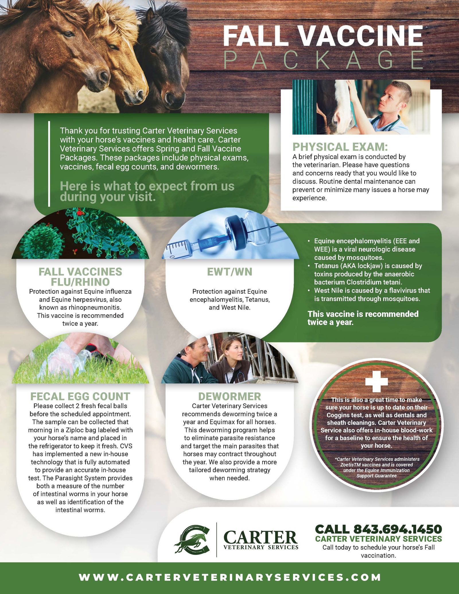 Resources In The Lowcountry - Learn About Equine Wellness ...